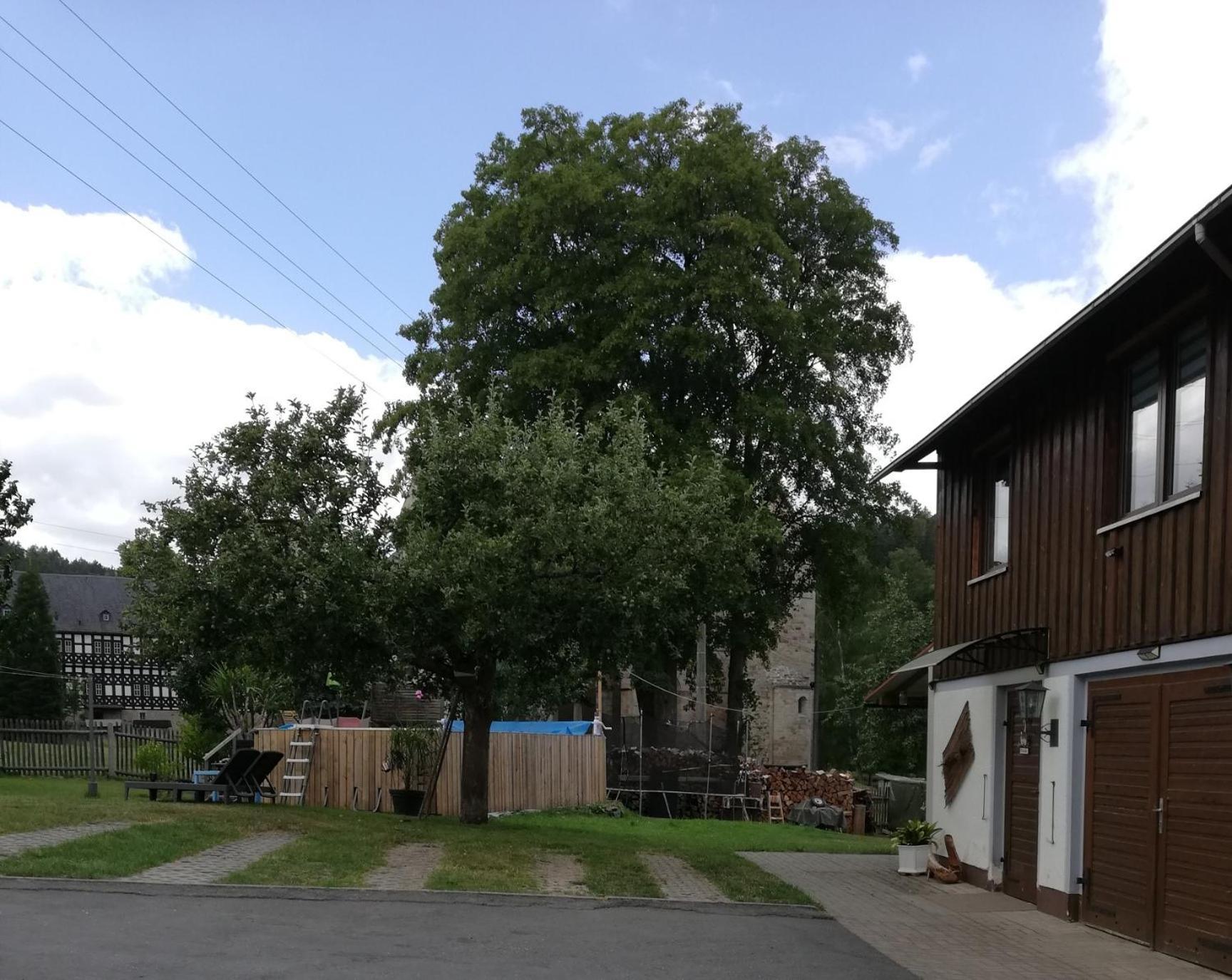 Fewo An Der Klosterruine Paulinzella Mit Kostenfreien Parkplatz Und Wlan Kültér fotó