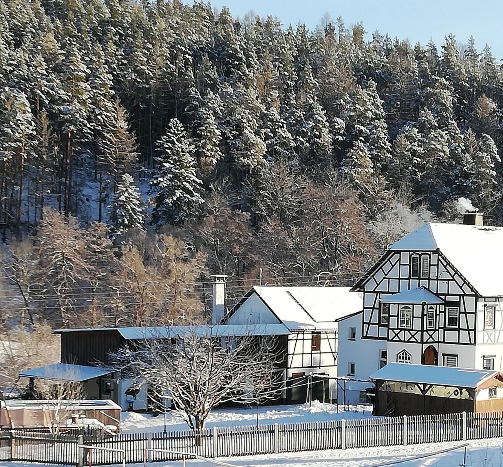 Fewo An Der Klosterruine Paulinzella Mit Kostenfreien Parkplatz Und Wlan Kültér fotó